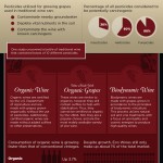 Guía del vino ecológico #infografia #alimentacion