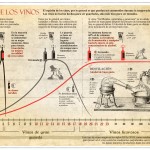La vida de los vinos #infografia #alimentacion
