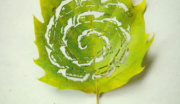 Cut-Away Leaf Art #design #art #fotografia
