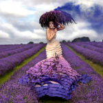 Wonderland by Kirsty Mitchell #fotografia #photo #design