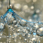 Gotas de agua con un macro #design #fotografia #photography