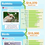 Coste de mantener a tu mascota #infografia #infographic #pets #economia