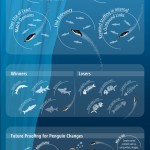 Los cambios de Google Penguin #infografia #infographic #seo #google