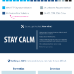 Seguridad en WordPress #infografia #infographic #socialmedia