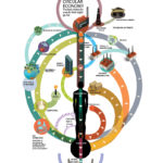 Economía circular. La manera de parar el consumo desmedido. #infografia #economia