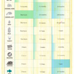 Guia definitiva: ¿Cuanto dura un alimento en buen estado? #infografia #alimentacion