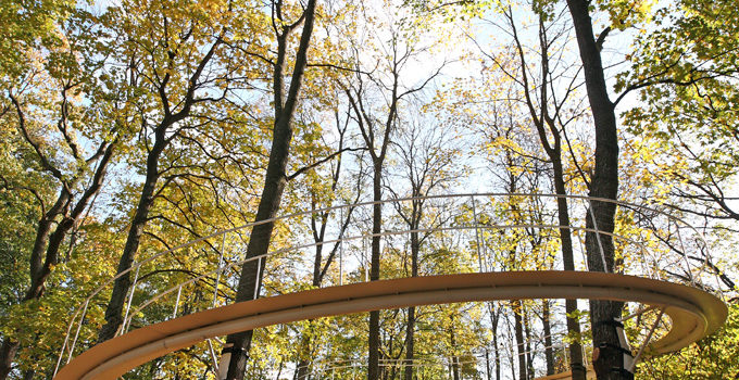 A Path In The Forest by Tetsuo Kondo #arquitectura #design