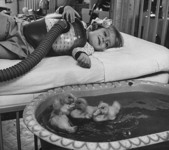 Terapia con patos para niños enfermos 1956
