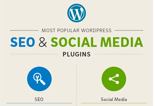 Los 20 plugins WordPress más populares para SEO y Social Media.