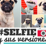 Las 21 versiones de un selfie.