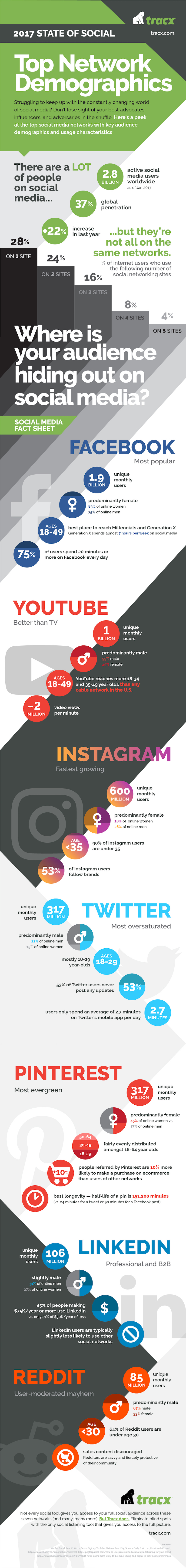 infografía sobre la demografía en las redes sociales