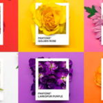 Pantone Flowers, fusión de colores y flores