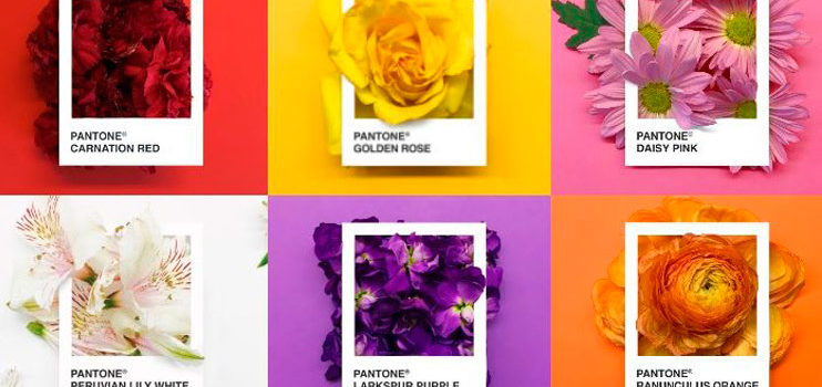 Pantone Flowers, fusión de colores y flores