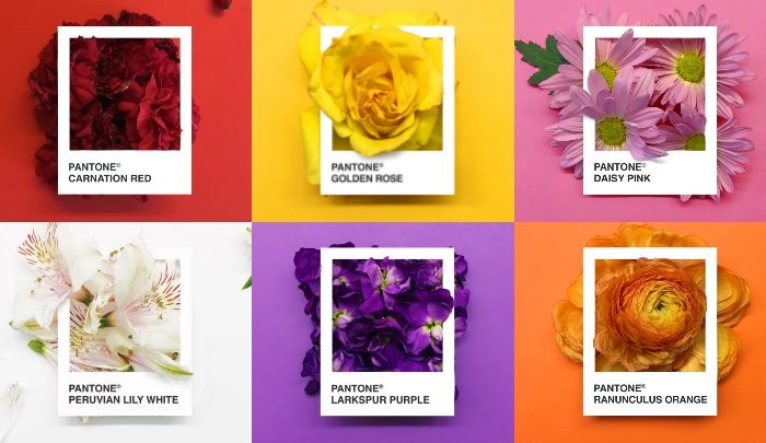 Pantone Flowers, una paleta de colores hecha con flores