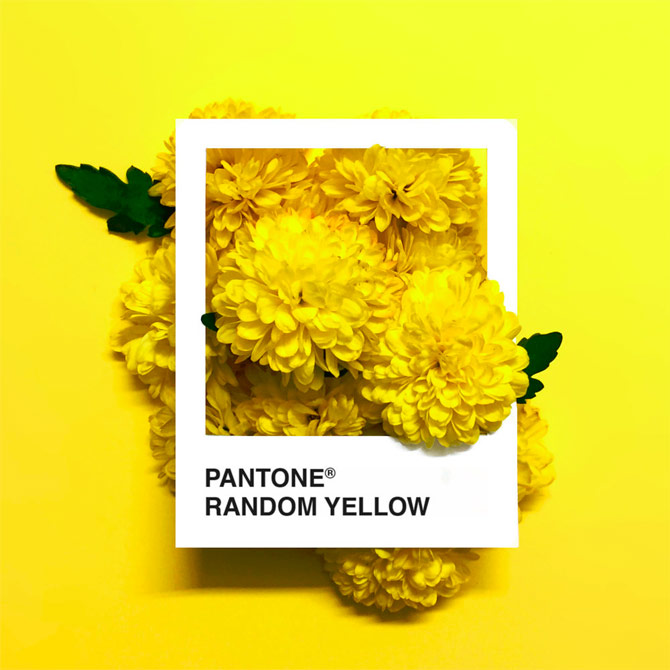 Pantone Flowers, una paleta de colores hecha con flores